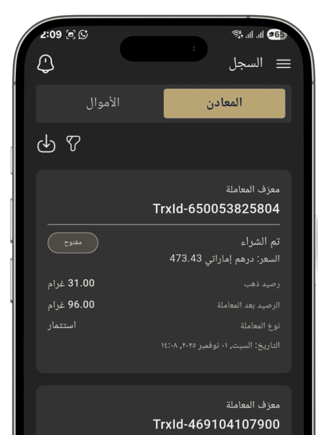 ادخر في الذهب statement interface showing metal and money statements with transaction details and balance information