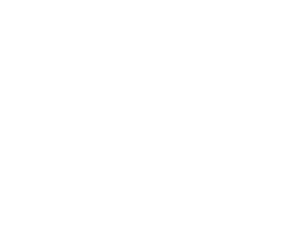 Partner logo 7