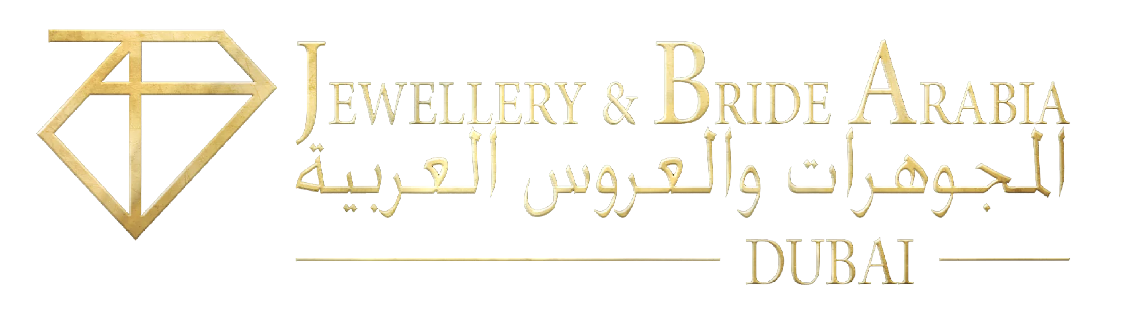 Partner logo 8